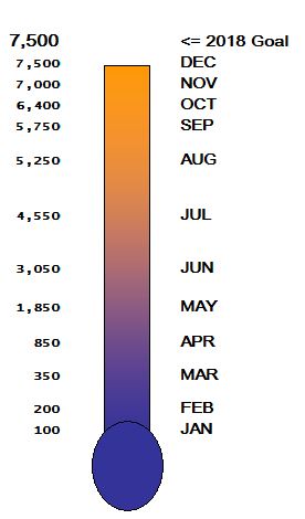 VSC Thermometer